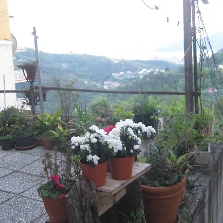 Casa de Férias A Fegora